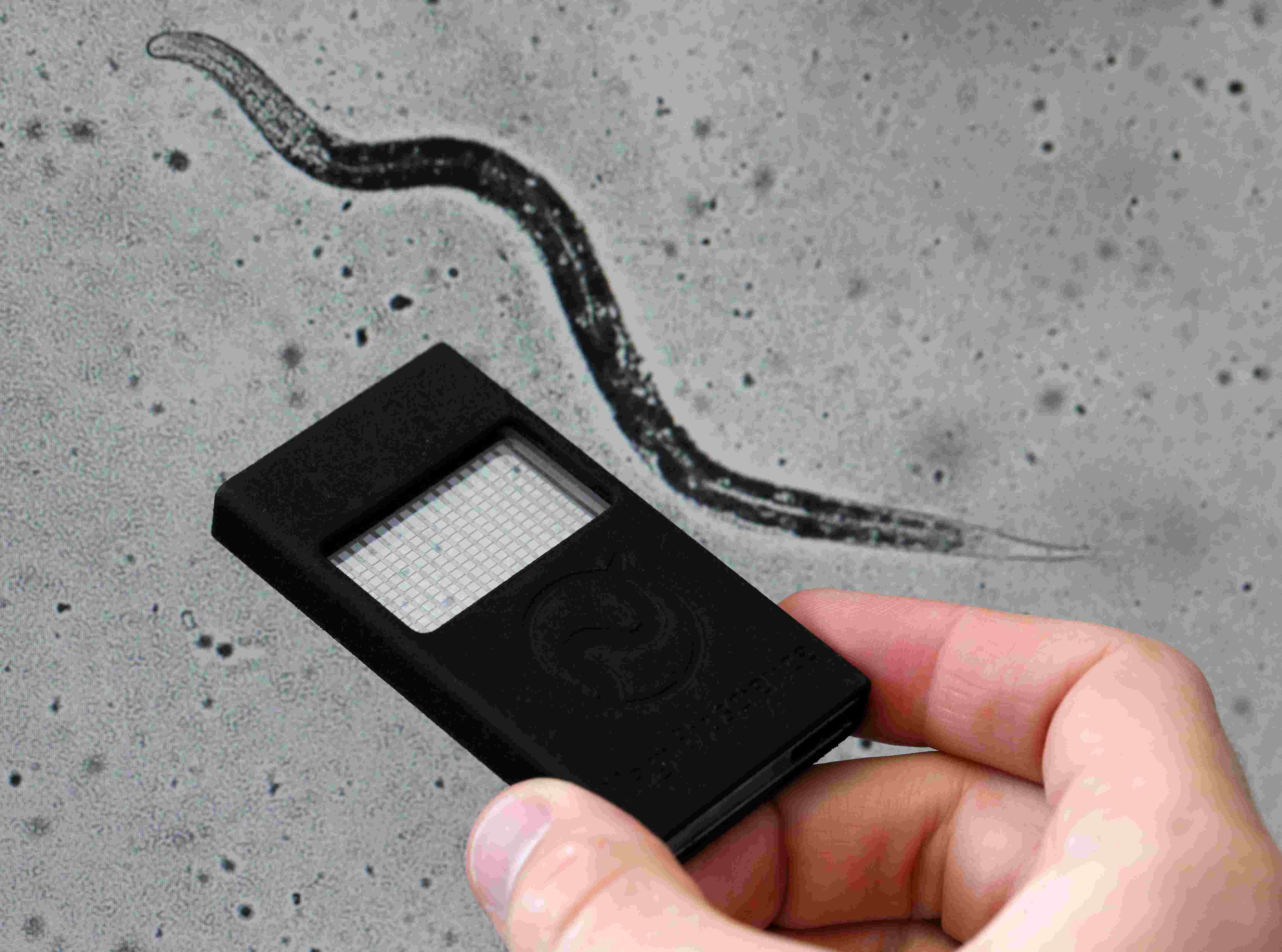 Une machine remplace les souris de laboratoire par des vers.